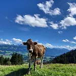 Allgaeuzeit Mit Wlan Steibis *