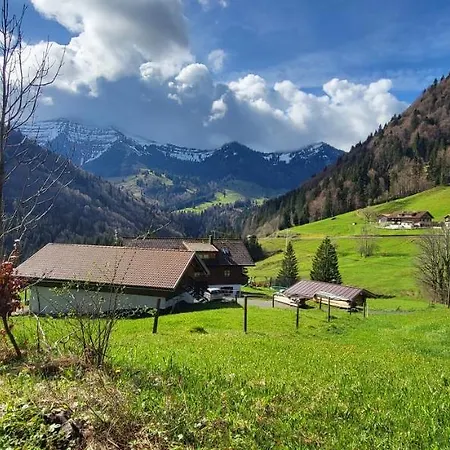 Apartment Allgaeuzeit Mit Wlan Steibis