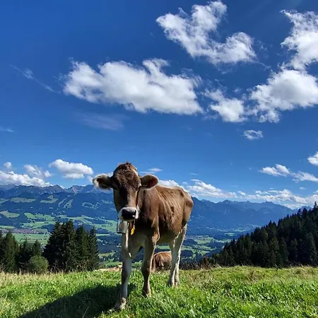Allgaeuzeit Mit Wlan Steibis *