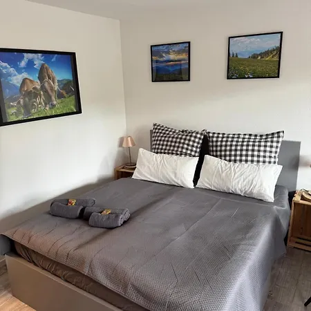 Apartment Allgaeuzeit Mit Wlan Steibis
